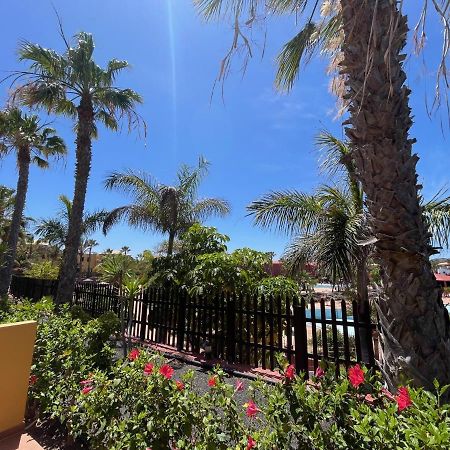 My Pretty Home - Lovely And Spacious Surrounded By Tropical Gardens - Private Covered And Uncovered Terrace - Pool - Parking - Free Fibre Optic Internet Corralejo Exterior foto