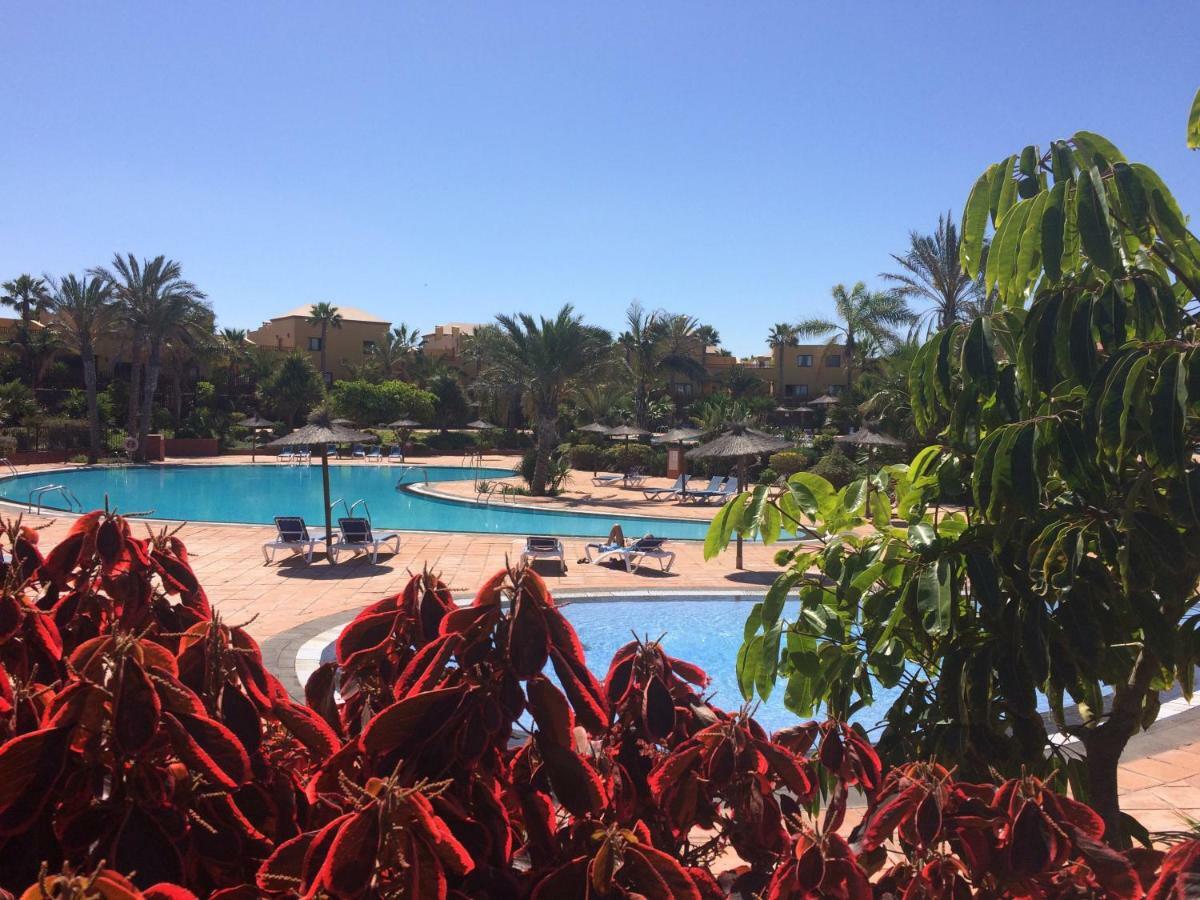 My Pretty Home - Lovely And Spacious Surrounded By Tropical Gardens - Private Covered And Uncovered Terrace - Pool - Parking - Free Fibre Optic Internet Corralejo Exterior foto