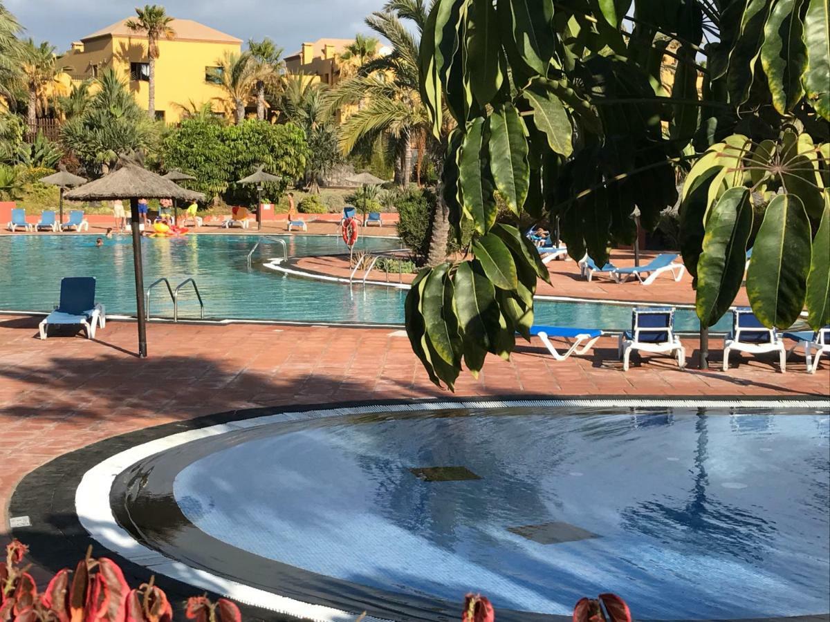 My Pretty Home - Lovely And Spacious Surrounded By Tropical Gardens - Private Covered And Uncovered Terrace - Pool - Parking - Free Fibre Optic Internet Corralejo Exterior foto