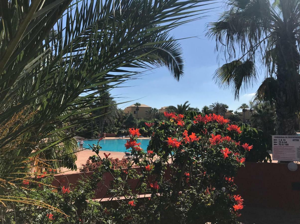 My Pretty Home - Lovely And Spacious Surrounded By Tropical Gardens - Private Covered And Uncovered Terrace - Pool - Parking - Free Fibre Optic Internet Corralejo Exterior foto
